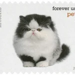 image 6 14 - Forever Stamps
