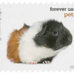 image 7 13 - Forever Stamps