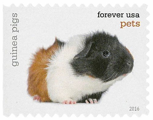 image 7 13 - Forever Stamps