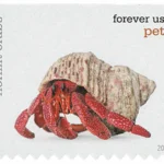 image 8 12 - Forever Stamps