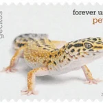 image 9 11 - Forever Stamps
