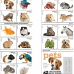 image 1 - Forever Stamps