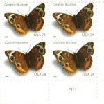Common Buckeye Butterfly 2006 2 - Forever Stamps lg 331374 1 - Forever Stamps