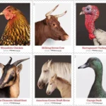 s breeds - Forever Stamps
