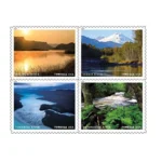 1 7fe93563 2837 440d 8186 5f5fb0095447 - Forever Stamps