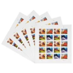 81WaKiYY4pL - Forever Stamps