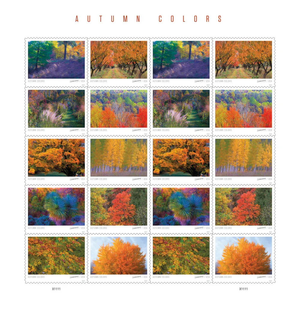 Autumn Colors 2024 1 - Forever Stamps Autumn Colors 2024