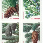 Holiday Daily Green Trees 2009 2 - Forever Stamps USA 4478 81 99027.1711086224 - Forever Stamps