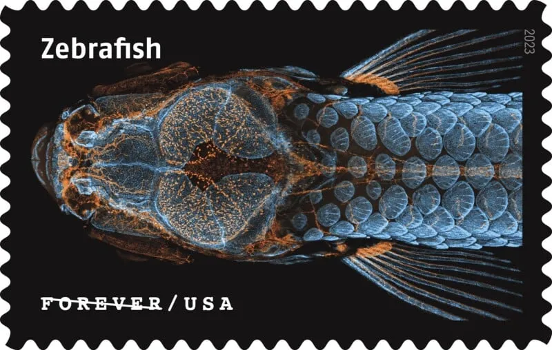 USPS23STA030C 800x508 1 - Forever Stamps