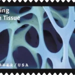 USPS23STA030D 800x508 1 - Forever Stamps