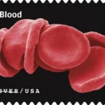 USPS23STA030E 800x508 1 - Forever Stamps