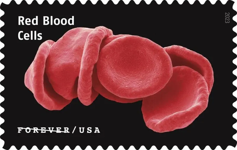 USPS23STA030E 800x508 1 - Forever Stamps