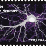 USPS23STA030H 800x508 1 - Forever Stamps