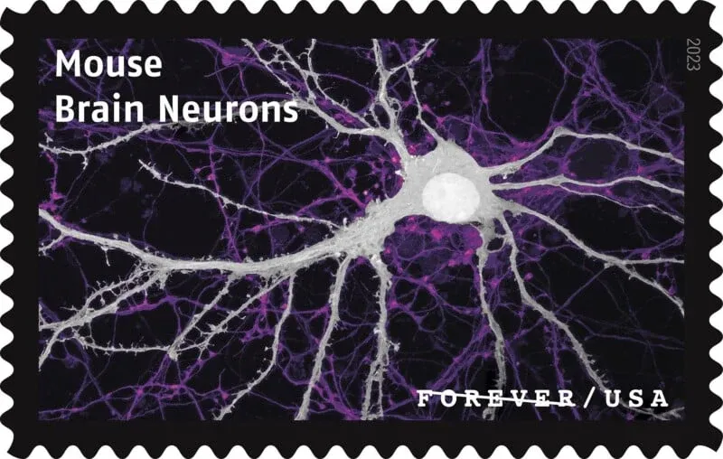 USPS23STA030H 800x508 1 - Forever Stamps