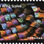 USPS23STA030I 800x508 1 - Forever Stamps