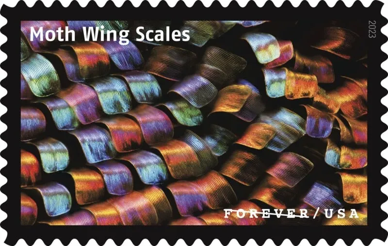 USPS23STA030I 800x508 1 - Forever Stamps