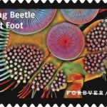 USPS23STA030R 800x508 1 - Forever Stamps