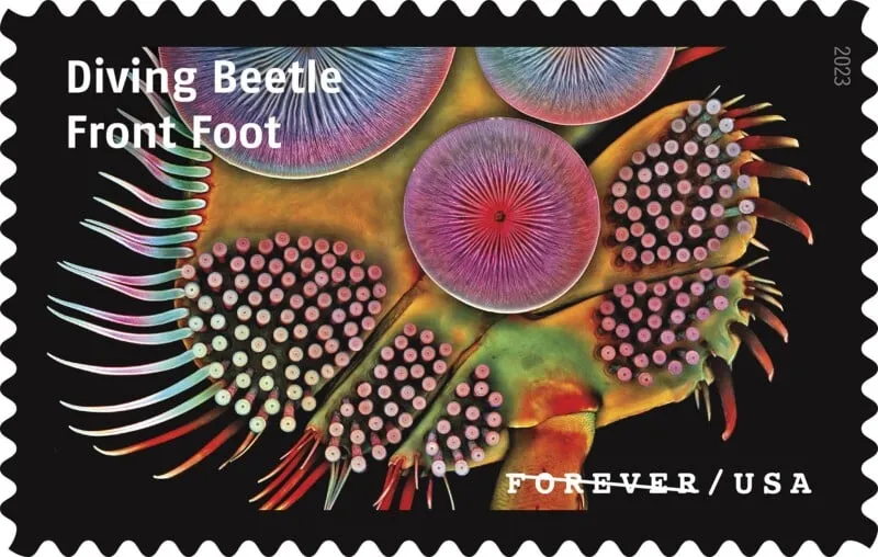 USPS23STA030R 800x508 1 - Forever Stamps