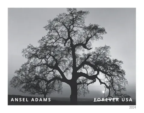 jxLFHGnE2hmhkxen8D7Hd5vaNIkUyqMkztvDw4gF - Forever Stamps